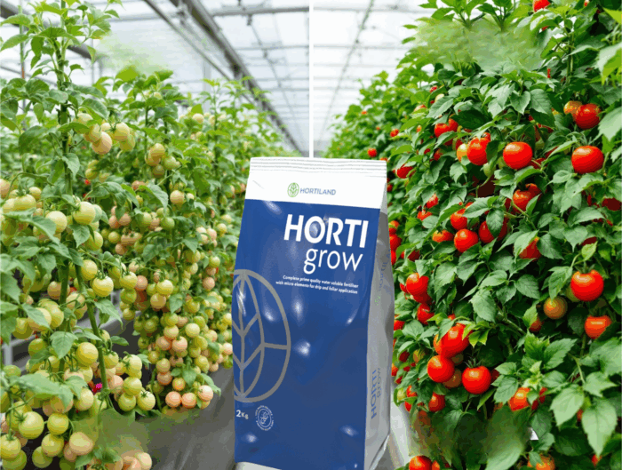 Holland Műtrágya Előnyei a Magyar Kertészetben - Teljes Útmutató 2025"