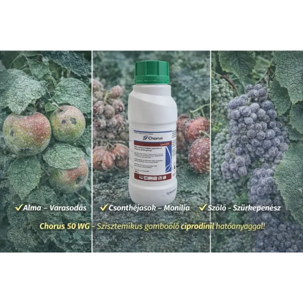 Chorus 50 WG – szisztemikus gombaölő szer ciprodinil hatóanyaggal | varasodás, monília, botritisz ellen