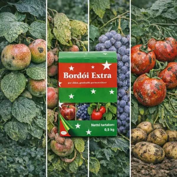 Bordói Extra
