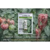 Cidely Top 10 ml Ampulla – professzionális gombaölő szer zöldségfélékhez | Syngenta difenokonazol + ciflufenamid