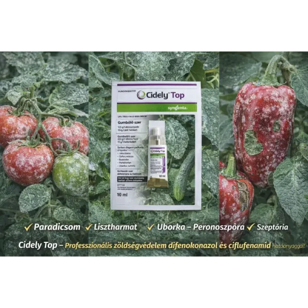 Cidely Top 10 ml Ampulla – professzionális gombaölő szer zöldségfélékhez | Syngenta difenokonazol + ciflufenamid