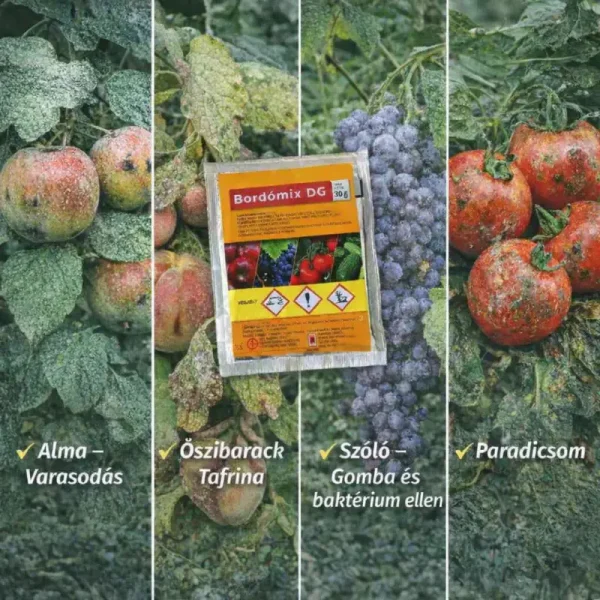 A Bordómix 30 g réz hatóanyagú gombaölő granulátum – varasodás, monília, tafrina ellen
