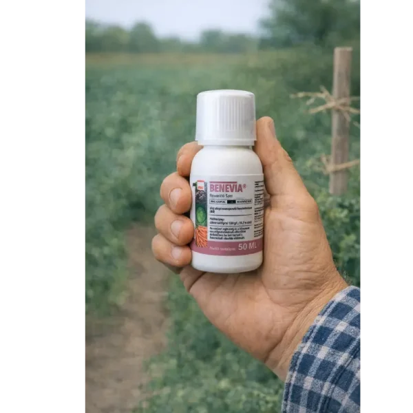 Benevia rovarölő szer – Cyazypyr® hatóanyaggal Benevia rovarölő szer – Cyazypyr® hatóanyaggal