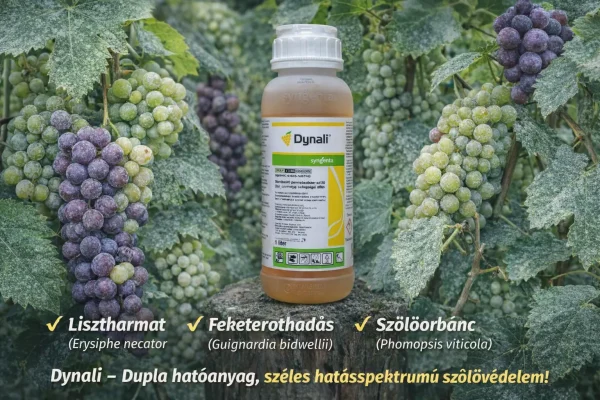 Dynali gombaölő szer – difenokonazol + cyflufenamid | széles hatású szőlő fungicid