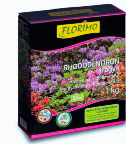 florimo rhododendron trágya
