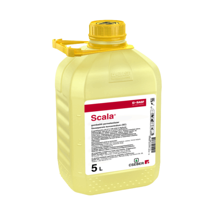 Scala