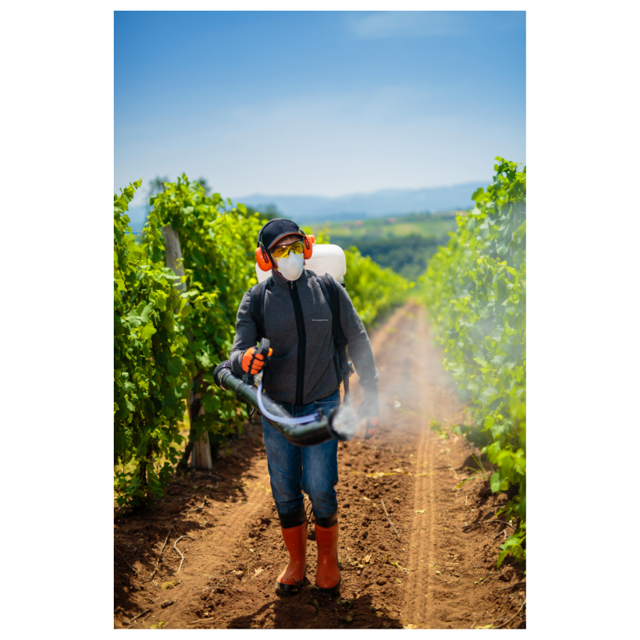 peronoszpóra elleni szer