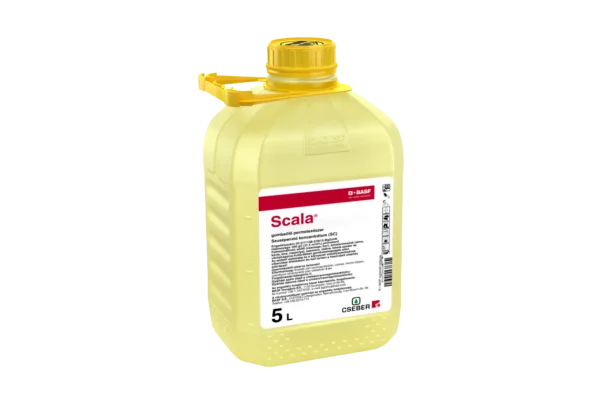 SCALA 5L SCALA 5L