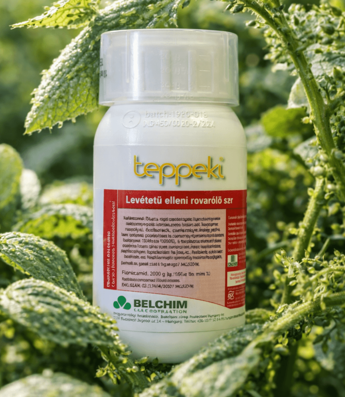 Teppeki rovarölő szer levéltetű ellen – hatékony felszívódó védelem Teppeki rovarölő szer levéltetű ellen – hatékony felszívódó védelem
