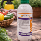 Karate Zeon rovarölő szer hernyó és kártevők ellen