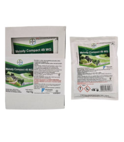 Melody Compact 49 WG 0,25