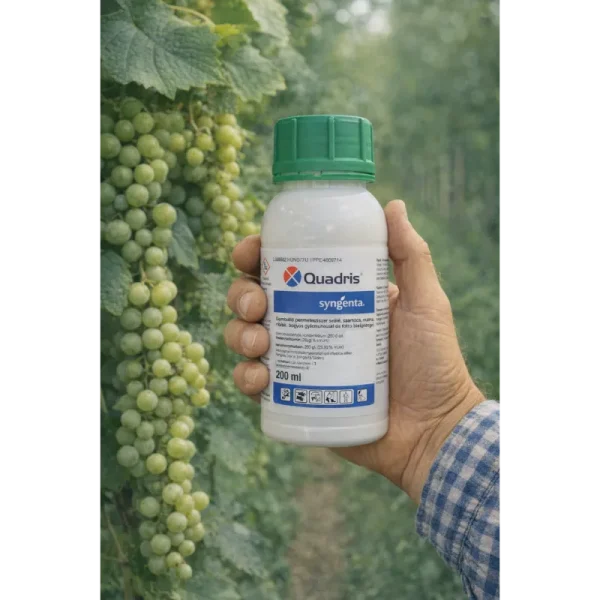 Quadris gombaölő – széles spektrumú védelem gyümölcs- és zöldségkultúrákban Quadris gombaölő – széles spektrumú védelem gyümölcs- és zöldségkultúrákban