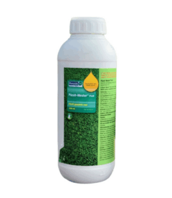 Pázsitmester Profi 1/1