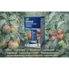 KUMAR® kálium‑hidrogén‑karbonát gombaölő – rezisztenciamentes, szermaradékmentes védelem | lisztharmat, varasodás ellen