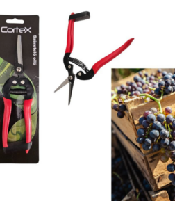Cortex szüretelőolló egyenes élű 18 cm