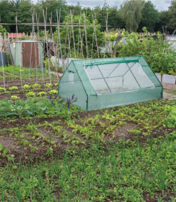 Palántázó Strend Pro Greenhouse, fólia, fóliasátor, 180x140x94 cm Palántázó Strend Pro Greenhouse, fólia, fóliasátor, 180x140x94 cm