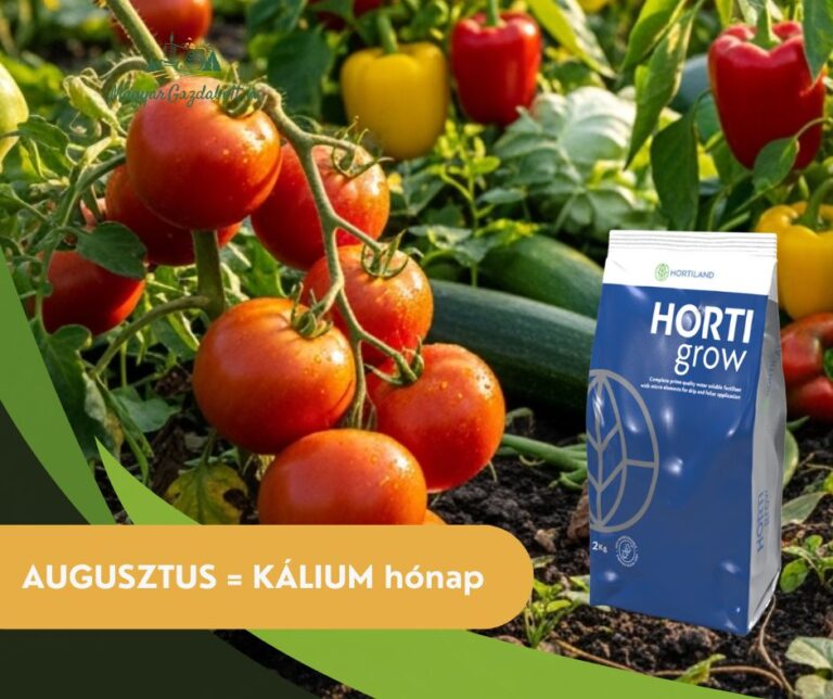 "HortiGrow formula vízoldható műtrágya kristályos forma"