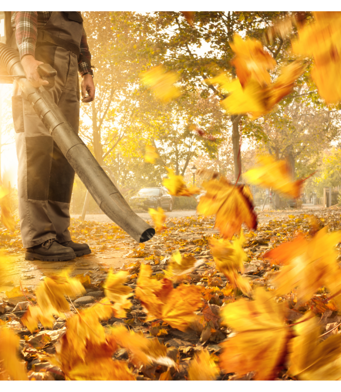 Lombfúvó-szívó Worcraft VB30-45, 45 liter, 3000W, elektromos, 2in1