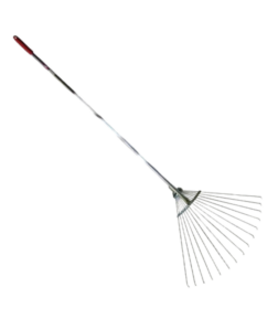 Lombseprű pálcás fogú NYELEZETT