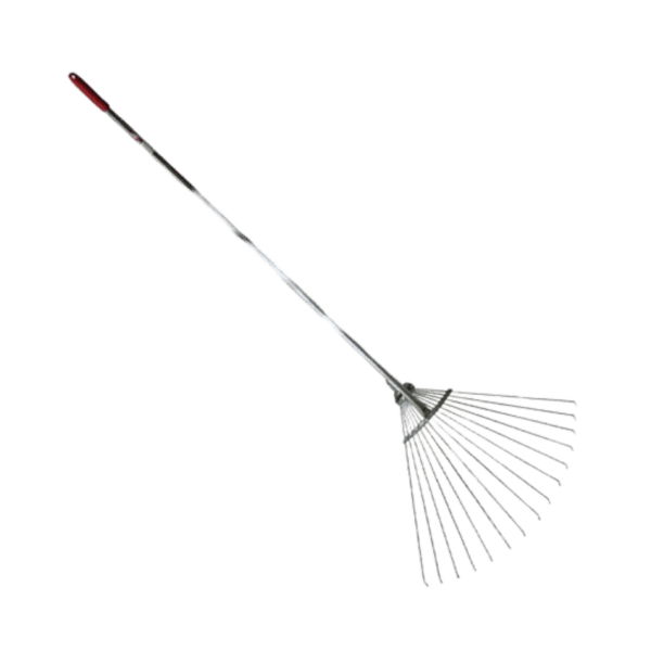 Lombseprű pálcás fogú NYELEZETT