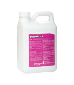 BOROPLUS 10L