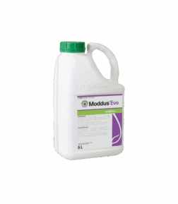 MODDUS EVO 5L III. -