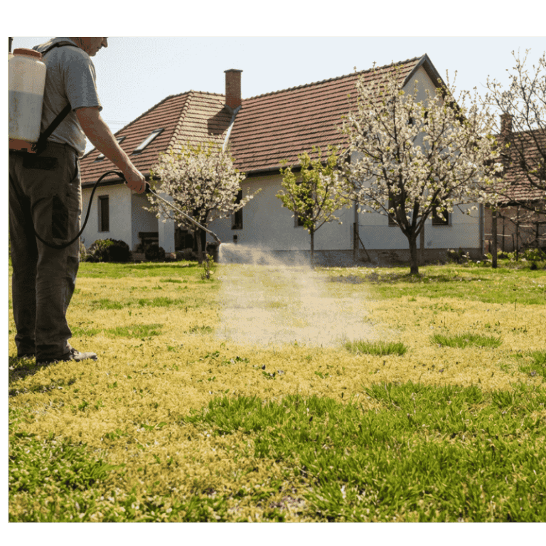 Gombaölő gyepre: Profi megoldás gombás betegségek ellen