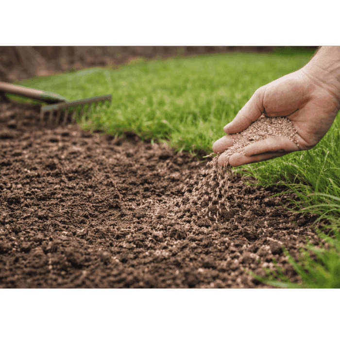 Mikor nyírjuk először a gyepet tavasszal? – A legfontosabb szabály, amit sokan elrontanak