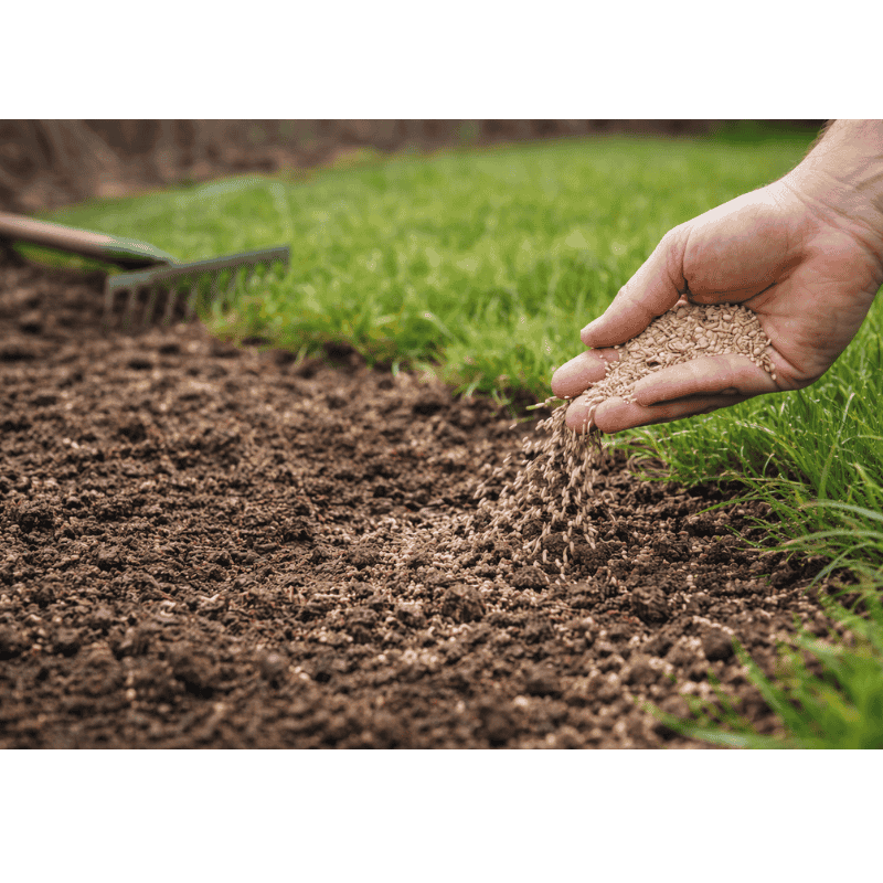 Mikor nyírjuk először a gyepet tavasszal? – A legfontosabb szabály, amit sokan elrontanak