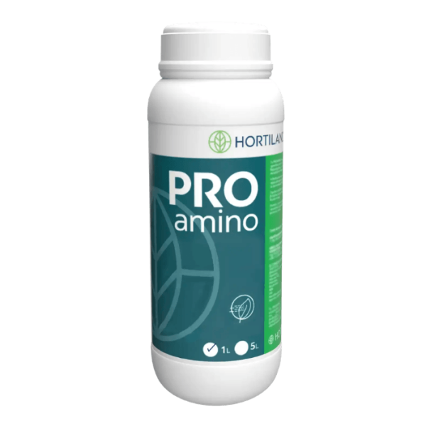 PROamino – Prémium tengeri alga biostimulátor | Ascophyllum nodosum kivonat PROamino – Prémium tengeri alga biostimulátor | Ascophyllum nodosum kivonat